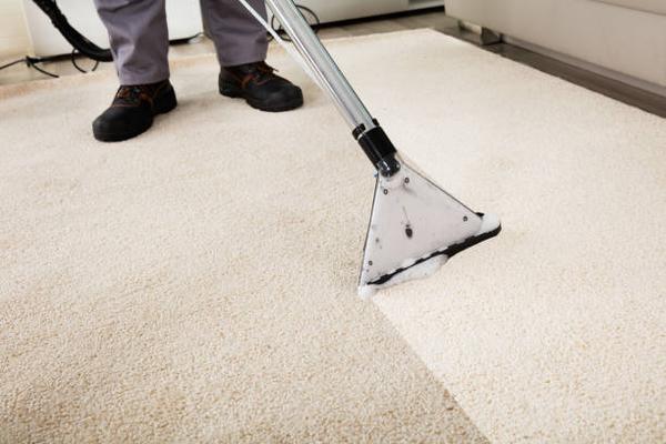 Expert Carpet Cleaning Services in Tacoma: Revitalize Your Home Today!